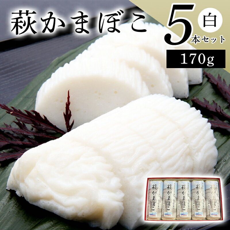 【ふるさと納税】萩かまぼこ 170g 白5本【化粧箱入】（国産鮮魚エソ100％） 国産 日本産 食品 食べ物 食材 食事 グルメ 料理 おかず 惣菜 お弁当 非常食 保存食 ご飯のお供 食卓 山口県 萩市 美味しい おいしい プレゼント ギフト プチギフト 贈り物 お中元 人気 おすすめ
