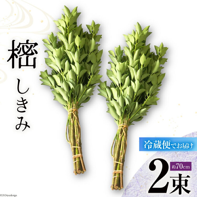 【ふるさと納税】しきみ しきび 2束 セット 70cm [中村しきみ園 宮崎県 美郷町 31ay0004-NEW] 樒 シキミ 彼岸 お墓 おしきみ お彼岸 墓参り 宮崎県産 産 冷蔵便