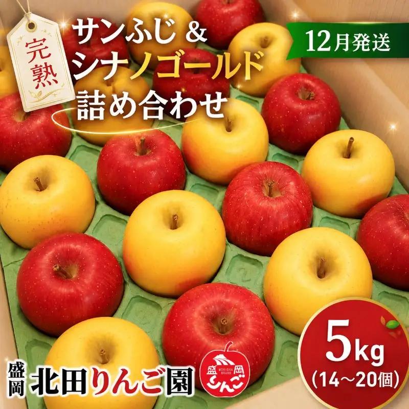 【12月発送】完熟サンふじ＆シナノゴールド詰め合わせ 約5kg(14～20玉)  北田りんご園 kitada005