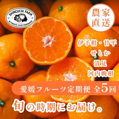 ふるさと納税 八幡浜市 【発送月固定定期便】愛媛人気柑橘5品種 伊予柑・甘平・せとか・清見・河内晩柑【H70-43】全5回