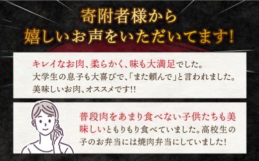 【焼肉2種食べ比べ】長崎和牛 ロース・バラ（焼肉用） 計600g 訳あり ＜スーパーウエスト＞ [CAG139] やきにく 焼き肉 バラ ロース 焼肉 赤身 贅沢 BBQ 焼肉用 やきにく