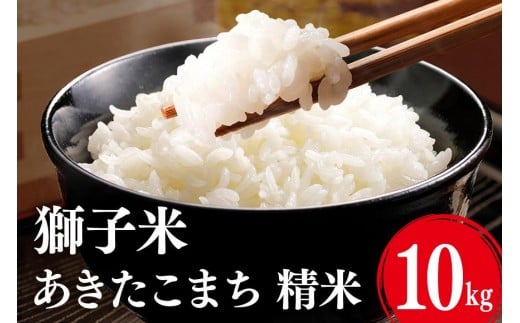 【3月発送】あきたこまち 精米 10kg お米 米 こめ コメ 精米 白米 ご飯 ごはん 茨城県 石岡市 B02-078