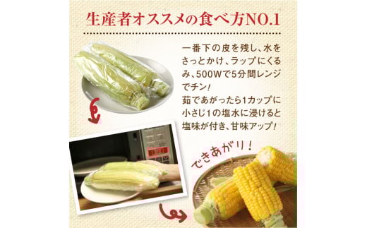 『★先行予約★8月初旬より順次発送』朝どり スイートコーン 25本 北海道産 とうもろこし ふるさと納税 北海道 恵庭市【31000102】
