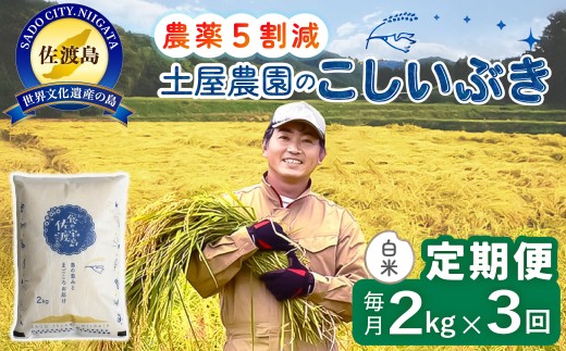 【3か月定期便 こしいぶき】佐渡島産こしいぶき 白米 合計6kg（2kg×毎月お届け全3回）令和8年産 新米 農薬・化学肥料5割減 | 新潟県産こしいぶき 新潟産こしいぶき 佐渡産こしいぶき こしいぶき コシイブキ お米 米 白米 精米 ブランド米 おこめ コメ 2キロ 少量 お試し にいがた さど 新潟県 佐渡市