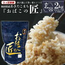 【ふるさと納税】※令和6年産 新米予約※ 【3ヶ月定期便】秋田県産おばこの匠あきたこまち　2kg （2kg×1袋）玄米