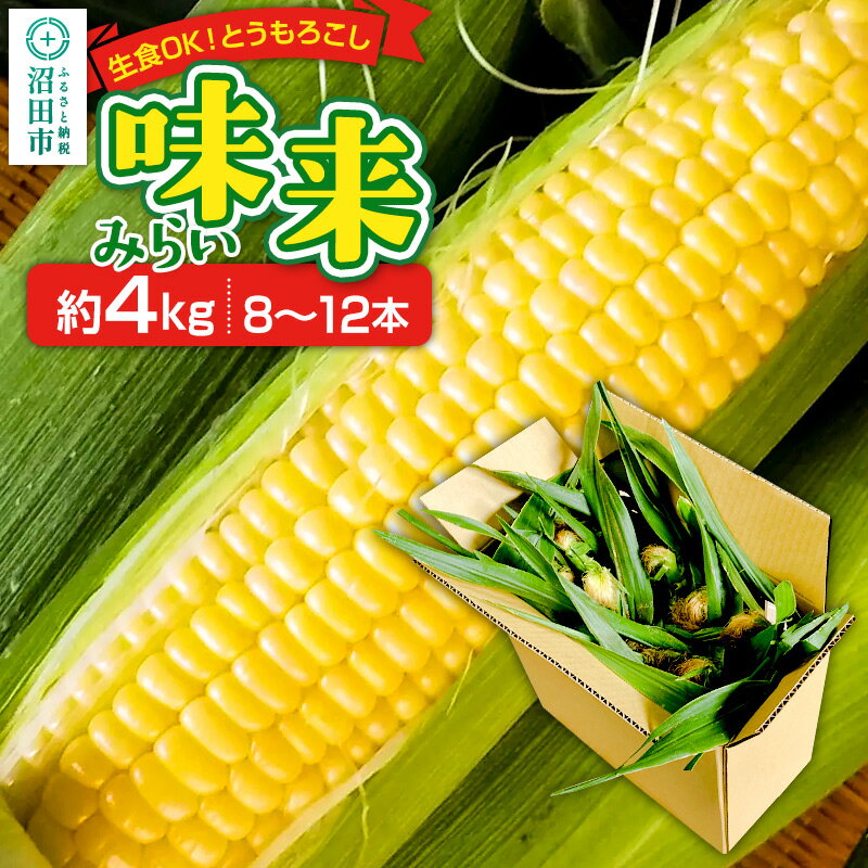 【ふるさと納税】とうもろこし 味来 約4kg（8〜12本）山口いちご園
