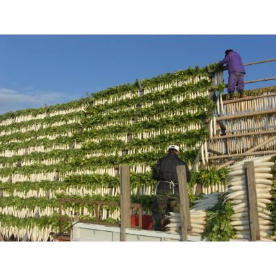 ふるさと納税 中種子町 明治45年創業 中園久太郎商店のこだわりお漬物セット |  | 02