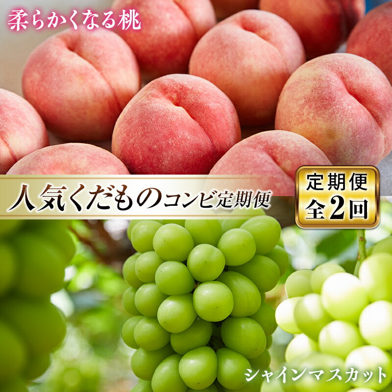 【ふるさと納税】 《先行予約 2026年発送》人気くだものコンビ！定期便～ももとシャインマスカット～ もも モモ 桃 デザート フルーツ 果物 くだもの 果実 食品 山形県 FSY-2874