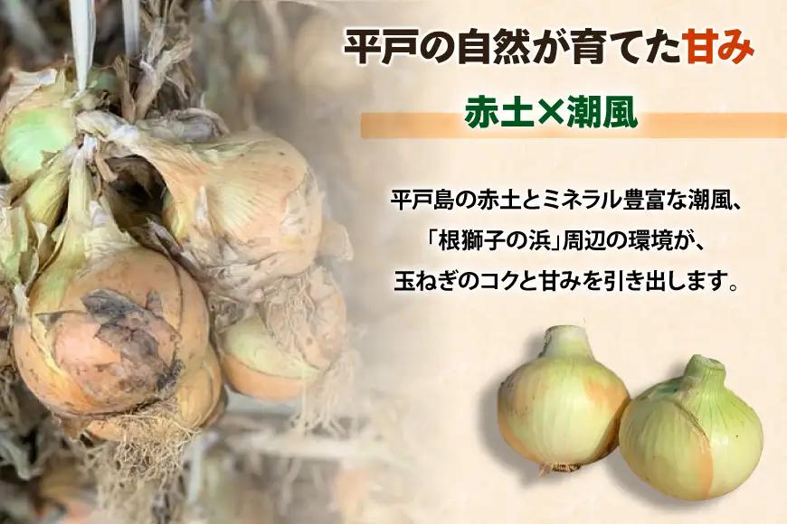 玉ねぎ 赤玉ねぎ セット 各約4kg 計約8kg
