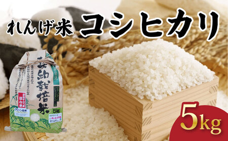 令和7年産 コシヒカリ 精米 5kg れんげ米