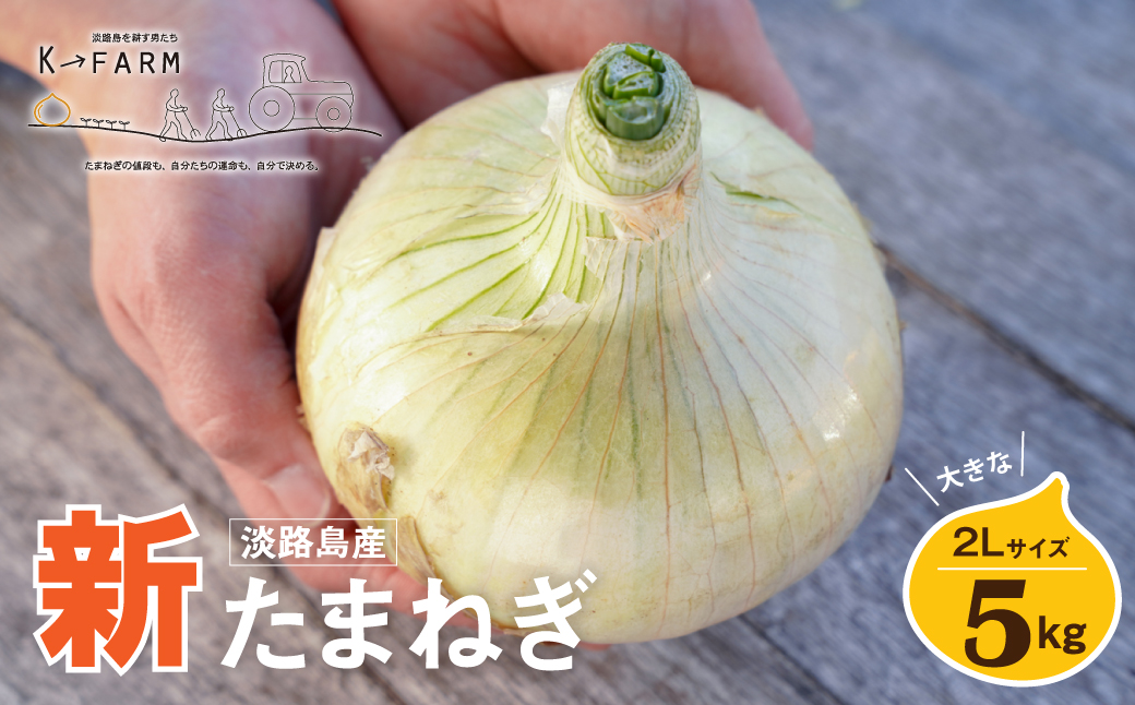 【新玉ねぎ】淡路島たまねぎ 大きな2Lサイズ 5kg【発送時期：2026年3月下旬～5月頃】　玉ねぎ 産地直送