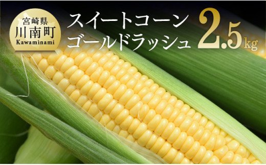 2023年発送 朝どれ！守部さんちのスイートコーン（ゴールドラッシュ）2.5kg以上(５～８本)【 とうもろこし スイートコーン トウモロコシ スィートコーン 令和5年発送 】