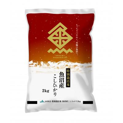 ふるさと納税 十日町市 【令和7年産】特栽米 魚沼産こしひかり(旧:米屋五郎兵衛) 精米 2kg