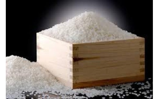 
            伊万里の米「夢しずく」5kg 003-B981
          