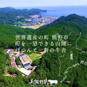 1/10以降配送【美熊野牛】すき焼き・しゃぶしゃぶ用ロースと赤身モモ肉の詰め合わせ 800g(400g×2）