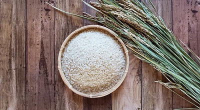 わたなべ農園のきぬむすめ　5kg