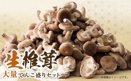 
椎茸大量てんこ盛りセット【1201273】
