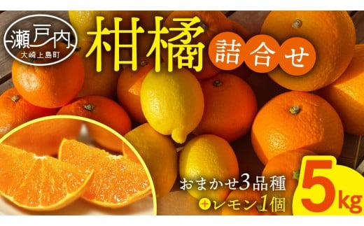 旬の柑橘 約5kg の 詰め合わせ ( おまかせ3品種 と レモン ) 瀬戸内レモン 八朔 はっさく 柑橘 蜜柑 ミカン 檸檬 れもん せとか はるか デコポン ポンカン フルーツ 果物 詰合せ くだもの