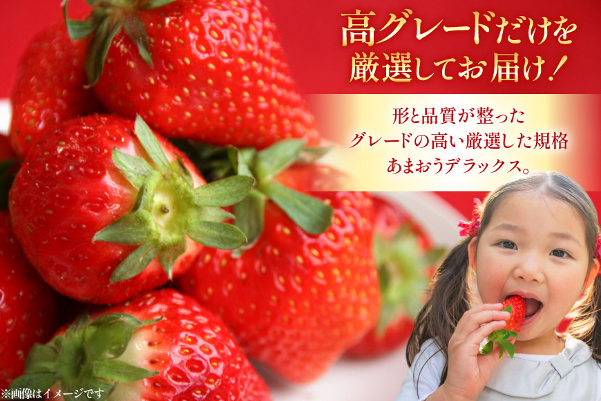 【期間限定発送】 いちご あまおう デラックス 2p [THE FARM_strawberry 福岡県 宇美町 um40azo780000] イチゴ 苺 フルーツ 果実 甘い 小分け