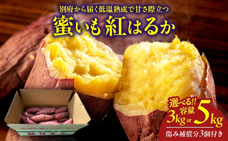 
                  ≪選べる返礼品≫先行予約!!　別府産　蜜いも「紅はるか」
                