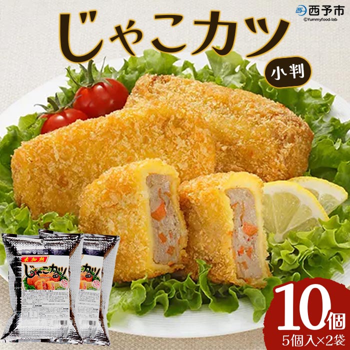 【ふるさと納税】＜じゃこカツ小判（未加熱）5個入り×2袋＞ 合計10個 お惣菜 小魚 さかな 魚介 すり身 じゃこ天 フライ 揚げ物 加工品 特産品 おつまみ おかず お弁当 バーガー カレー 国産 おがた蒲鉾 愛媛県 西予市 【冷凍】『1か月以内に順次出荷予定』