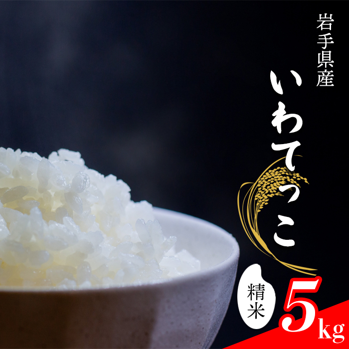 【令和7年産】 新米 11月中旬発送開始予定 いわてっこ 精米 5kg ／ 中沢農産 こめ 米 コメ お米 おこめ ご飯 ごはん 白米 白飯