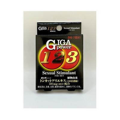 ふるさと納税 藤井寺市 GIGA POWER 123　3箱セット