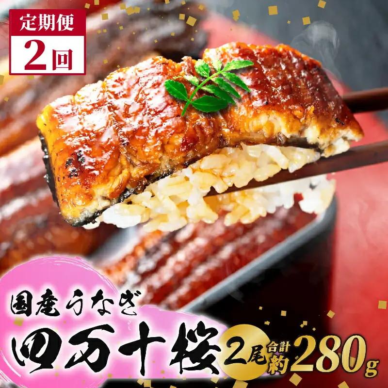 【通常用】【2回定期便】極上国産うなぎ四万十桜 蒲焼き約140g×2尾  ＼ 完全無投薬蒲焼き ／