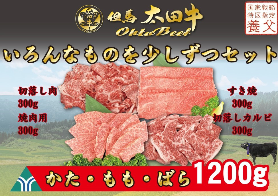 
            但馬　太田牛　いろんなものを少しずつセット【OVS2H】　ふるさと納税　すき焼　焼肉　切り落とし　かた　もも　ばら　カルビ　セット　冷凍　但馬牛　神戸牛　ブランド和牛　和牛　国産　兵庫県　神戸　但馬　養父　養父市　チョイス限定　太田家　太田畜産　太田牧場
          