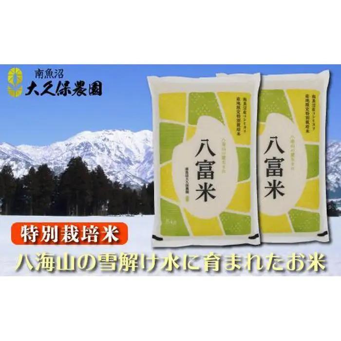 【令和8年産新米予約】南魚沼産コシヒカリ　特別栽培米　八富米　八海山の雪解け水が育むお米　白米１０ｋｇ【2026年10月中旬から1ヶ月以内に順次発送予定】