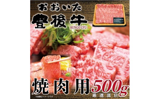 おおいた豊後牛焼肉用 500g | 和牛 豊後牛 国産牛 焼肉 大分県産 九州産 津久見市 国産