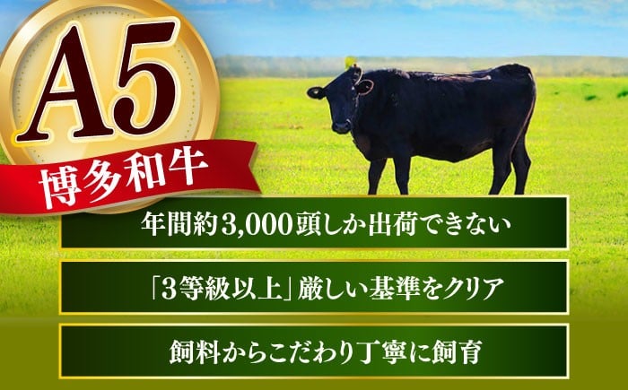 ヒレ ステーキ 和牛 肉 厚切り 牛肉 BBQ 贈り物 プレゼント