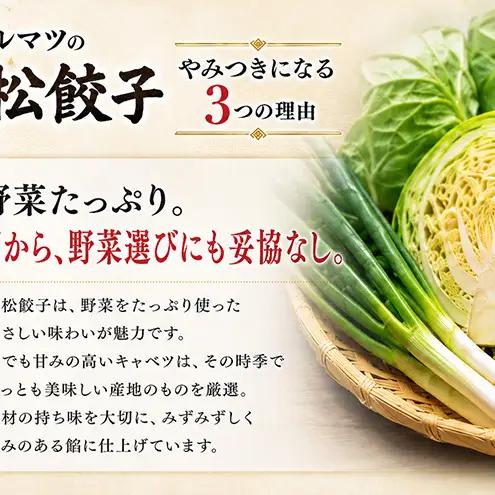 餃子 浜松餃子 120粒 定番の味 30粒×4袋 餃子