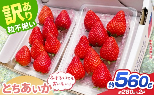【先行予約】訳あり とちあいか 約 280g × 2P ｜【栃木県共通返礼品】いちご イチゴ 苺 訳あり 不揃い 粒 ハート 栃木県 那珂川町 送料無料