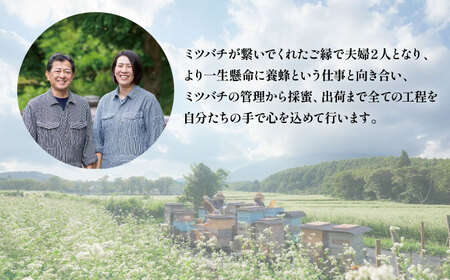 大西養蜂場 非加熱はちみつ そば さくら 60g 各2本 ／ はちみつ 蜂蜜 ハチミツ 国産 【大西養蜂場】