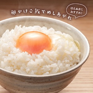 【定期便】 山形県産 精米 はえぬき 5kg×12ヶ月 計60kg お米 マイスター 厳選米