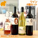 【ふるさと納税】 数量限定 ワイン4種セット【訳あり・限定品】｜ ワイン 洋酒 赤ワイン　白ワイン 境町ワイン