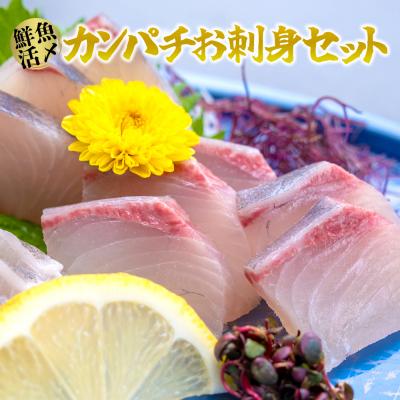 ふるさと納税 三浦市 【高鮮度】鮮魚活〆カンパチお刺身セット