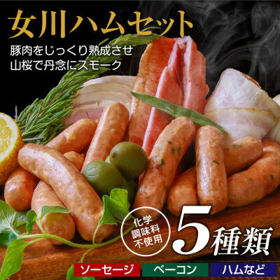 【ふるさと納税】絶品女川ハム&ソーセージ!伝統の味をご家庭で_ ハム ベーコン ソーセージ ウインナー 干し肉 セット 食べ比べ 詰合せ 5種類 女川 スモーク 国産 産地直送 おかず おつまみ 新潟 贈答 ギフト 冷蔵 女川 【配送不可地域：離島】【1085603】