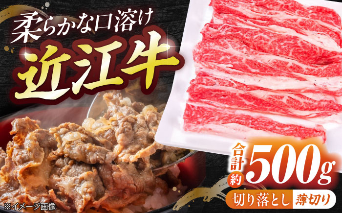 
            近江牛切り落とし（薄切り）500g  / 牛肉 和牛 国産牛 黒毛和牛 こま切れ 炒め物 牛丼 肉じゃが / 栗東市 / 有限会社 岡山[BIBE026]
          