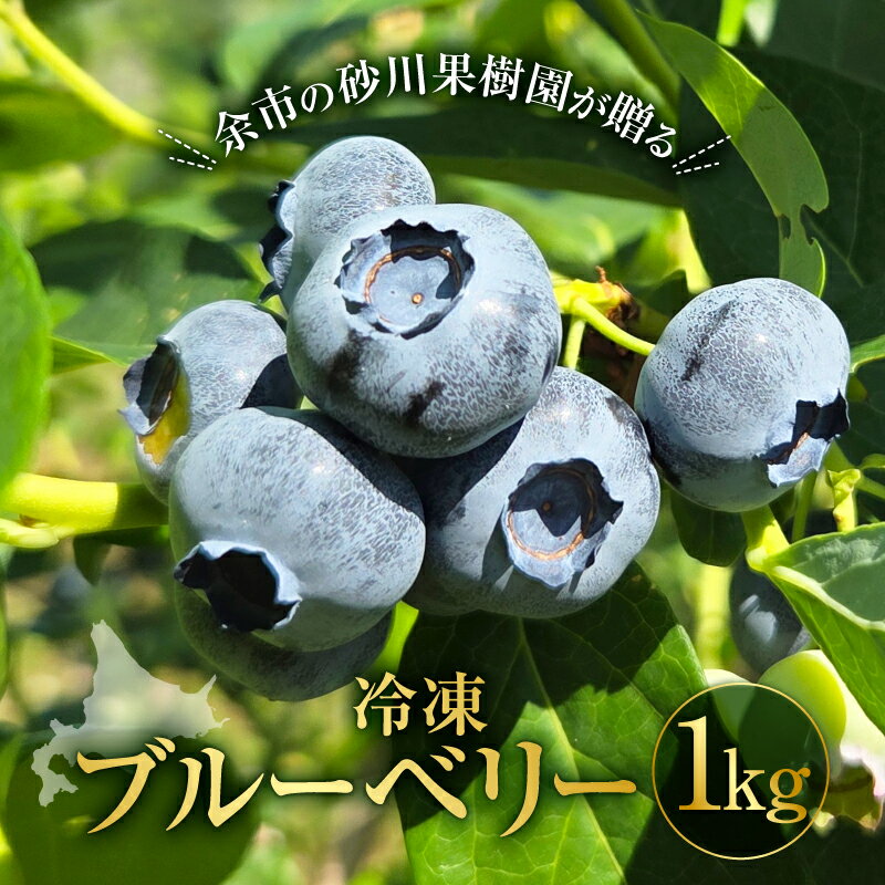 【ふるさと納税】余市の砂川果樹園が贈る 冷凍ブルーベリー 500g×2袋 チャック付き袋 1Kg 大粒 手摘み みずみずしい 無添加 産地直送 送料無料 新鮮冷凍 フレッシュ 国産 フルーツ 冷凍フルーツ 果実 ベリー類 スーパーフード 甘酸っぱい 送料無料 北海道 余市町