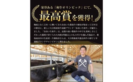 G4-17 片桐さんの「おおいた和牛」切り落とし(3kg)