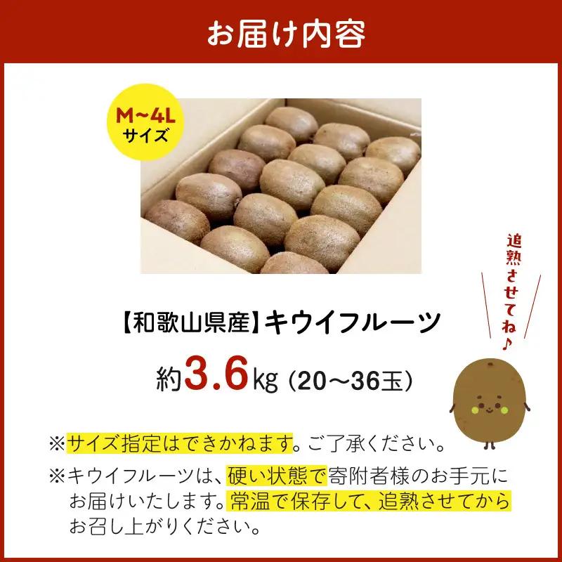 【2027年1月下旬から順次発送】和歌山産　キウイフルーツ　M～4Lサイズ　約3.6kg　秀品_BL6174