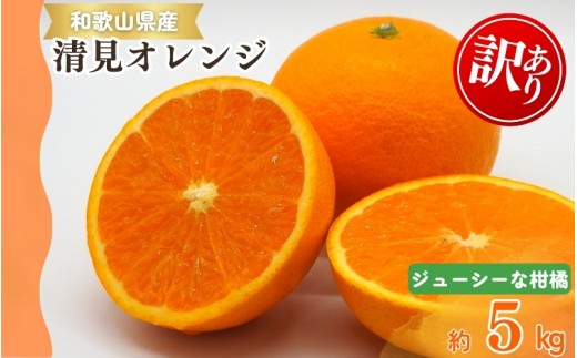 
                  【ご家庭用訳アリ】紀州有田産清見オレンジ　5kg 	※2027年3月下旬頃〜2027年4月下旬頃に順次発送予定(お届け日指定不可)【uot833】
                
