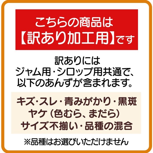 【2026年先行予約】長野県千曲市産 加工用(訳あり)生あんず 1.5kg | あんず