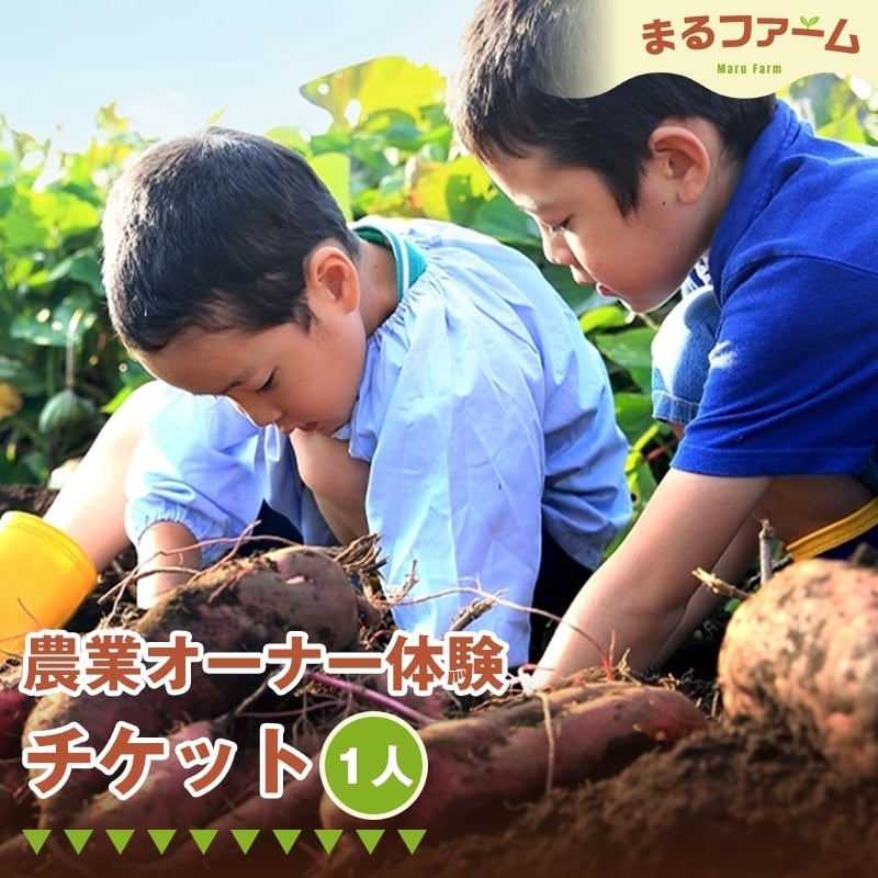 
            No.377 農業オーナー体験（1人分） ／ 農業体験 農業オーナー 畑体験 作物栽培 収穫体験 体験チケット 地域交流 農作業体験 季節野菜 自然体験 学び体験 家族 ファミリー 千葉県
          