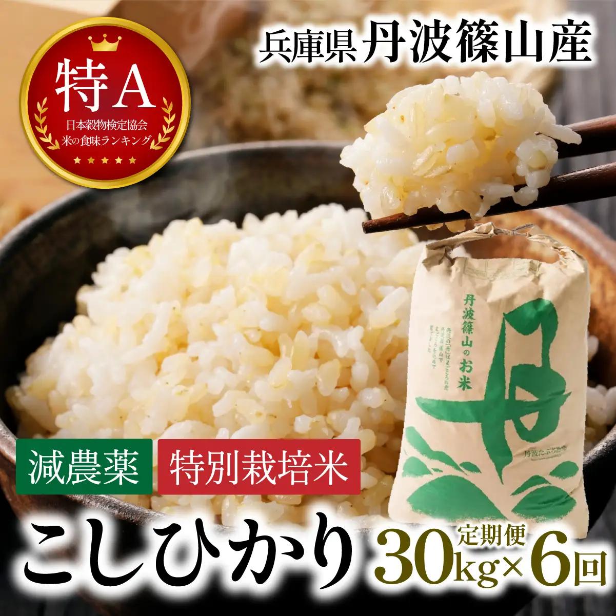 玄米 定期便 新米 丹波篠山産 特別栽培米コシヒカリ 30kg×6回 定期便 玄米