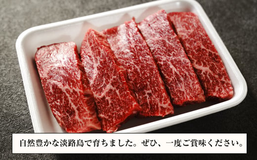 淡路牛 赤身ステーキ 500g（約100g×5枚） 【3D急速冷凍】 赤身肉 牛肉 ステーキ
