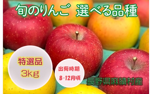 【2025年 収穫分】【2025年 先行予約】長野 麻績村 りんご サンふじ ふじ 期間限定 特選品 3kg ギフト 自宅用 贈り物 自宅用にも ギフトにも 堤 みどりや サンふじ ふじ 産地直送 新返礼品 令和7年 収穫分