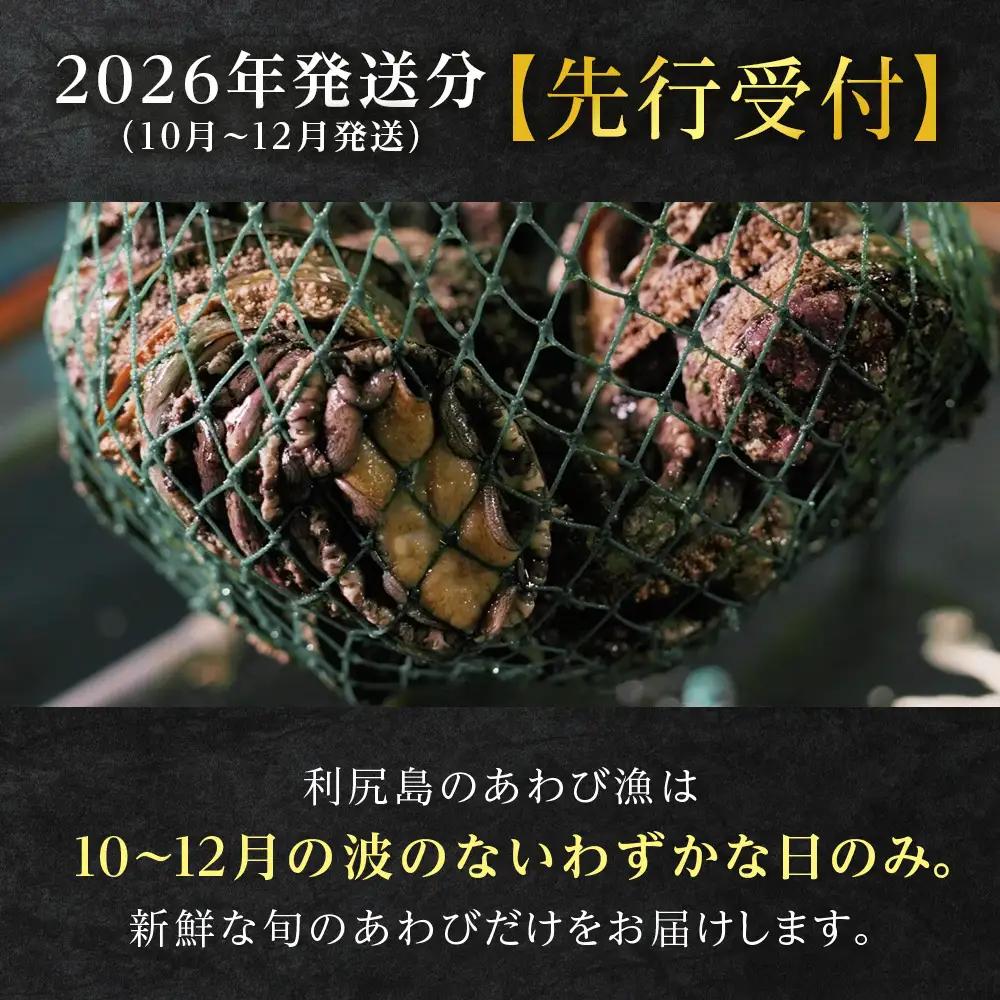 【2026年発送予約】北海道 利尻島産 直送！利尻あわび 天然 生えぞあわび１kg 鮑 海鮮 冷蔵 お刺身 魚介 お祝い 鮑 活き 天然【福士水産】